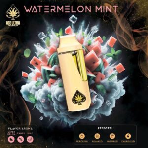 ACE 2G Watermelon Mint Disposable Vape