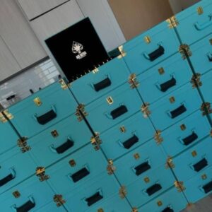 ACE Ultra 4th Gen (2G 50PCS Variety Master Box)