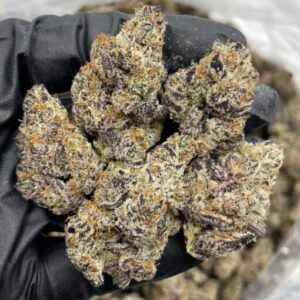 Biscotti Pancakes Strain